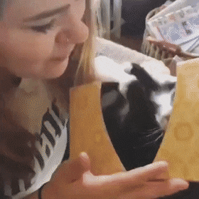 Acid Gifdump, May 1 (25 gifs)