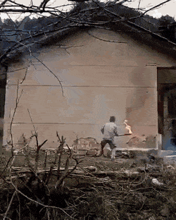 Acid Gifdump, May 1 (25 gifs)