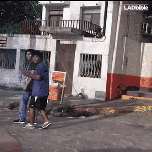 Acid Gifdump, May 1 (25 gifs)