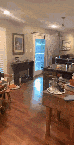 Acid Gifdump, May 1 (25 gifs)