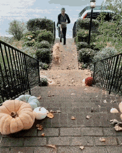 Acid Gifdump, May 1 (25 gifs)