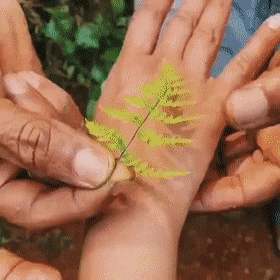 Acid Gifdump, May 1 (25 gifs)