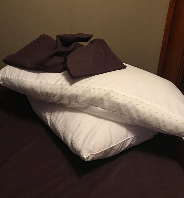 You Got What You Asked For (39 pics)