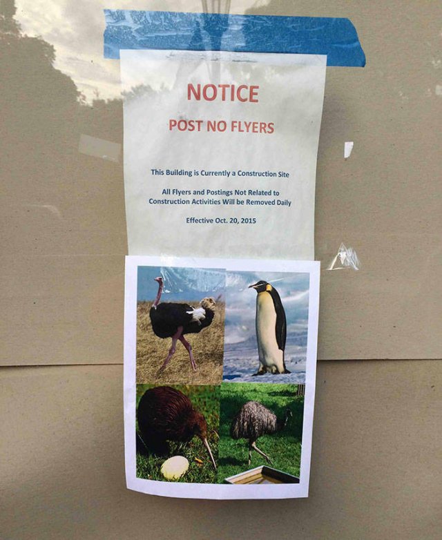 You Got What You Asked For (39 pics)