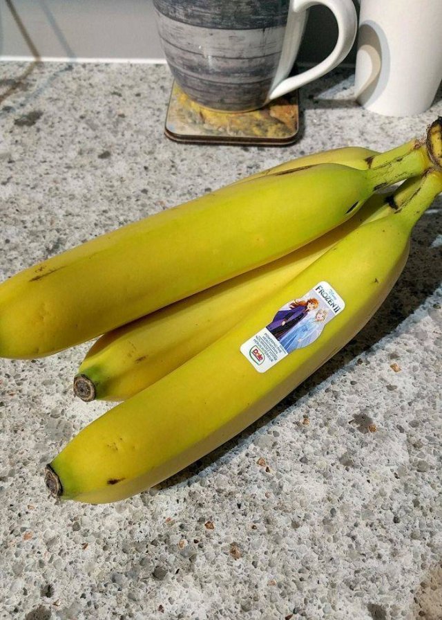 You Got What You Asked For (39 pics)