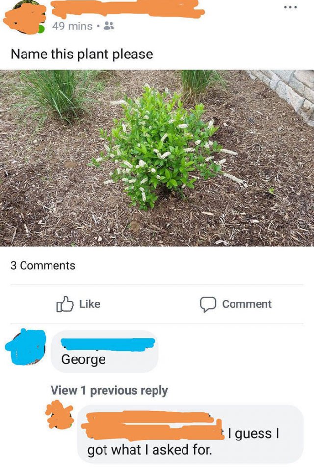 You Got What You Asked For (39 pics)