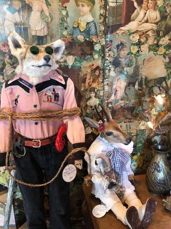 Thrift Shops Treasures (58 pics)