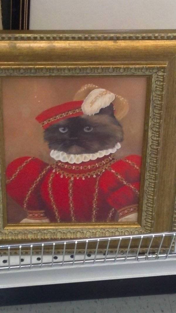 Thrift Shops Treasures (58 pics)