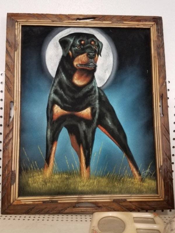 Thrift Shops Treasures (58 pics)