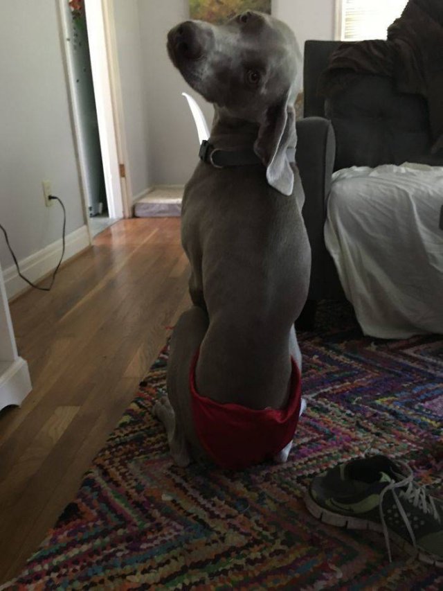 You Got What You Asked For (39 pics)