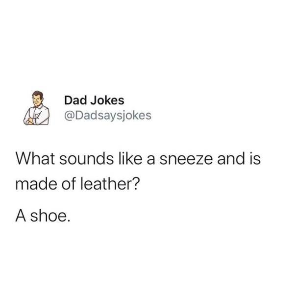 Dad Jokes (30 pics)