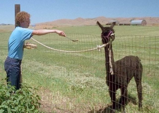2000s: The Funniest Movies (30 pics) 2000s: The Funniest Movies (30 pics)