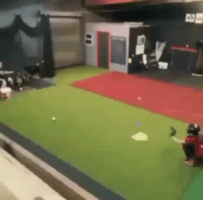 Satisfying Odds (15 gifs)