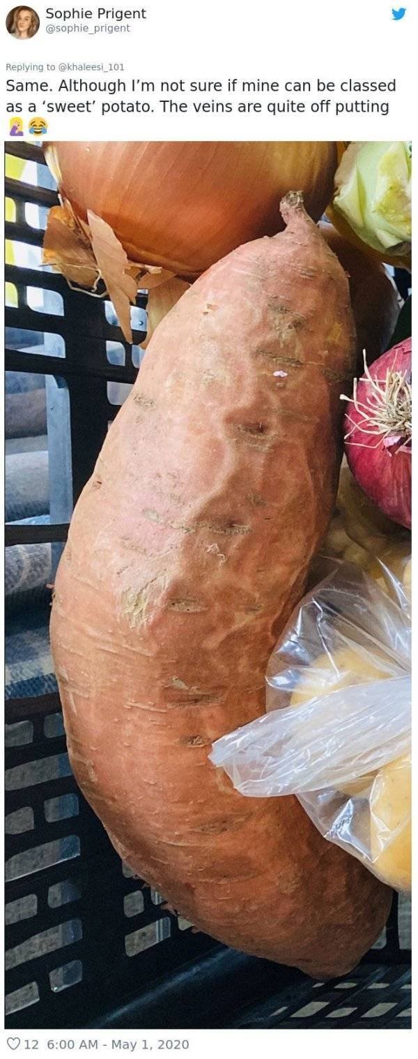 Giant Fruits And Vegetables (31 pics)