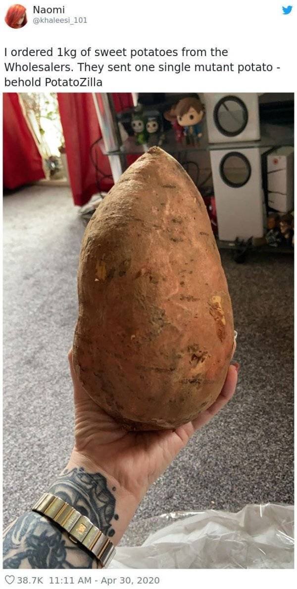 Giant Fruits And Vegetables (31 pics)