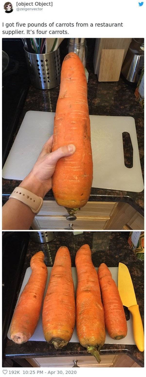 Giant Fruits And Vegetables (31 pics)