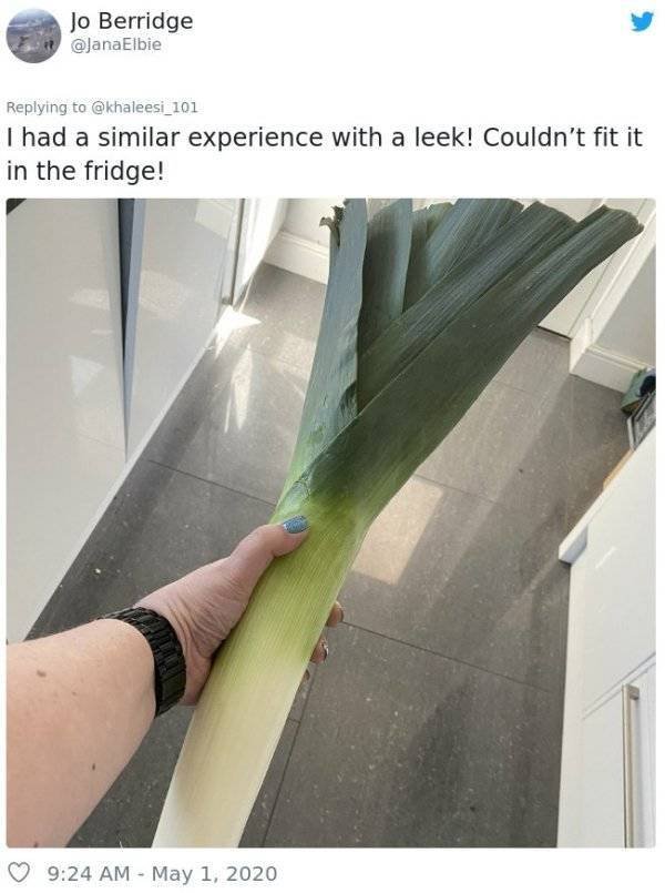 Giant Fruits And Vegetables (31 pics)