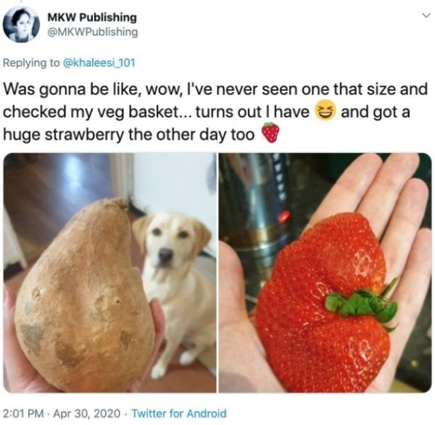 Giant Fruits And Vegetables (31 pics)