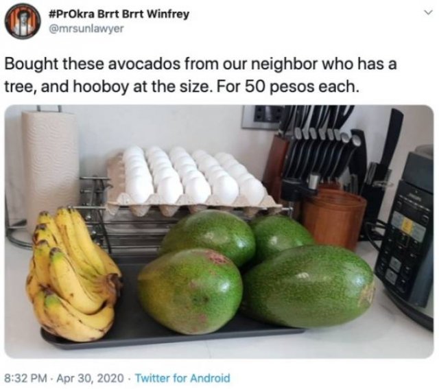 Giant Fruits And Vegetables (31 pics)