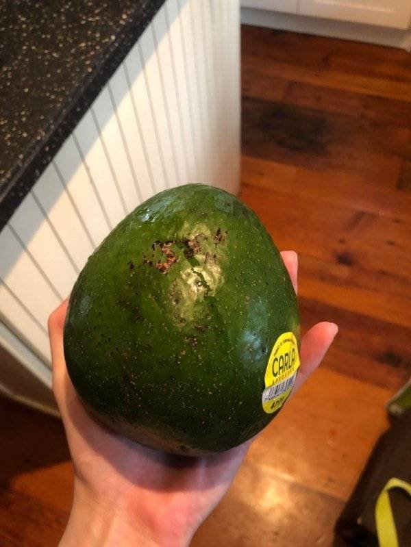 Giant Fruits And Vegetables (31 pics)