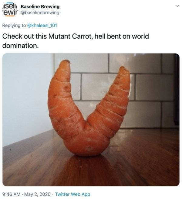 Giant Fruits And Vegetables (31 pics)