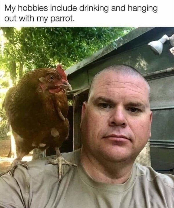 Alcohol Memes And Pictures (25 pics)