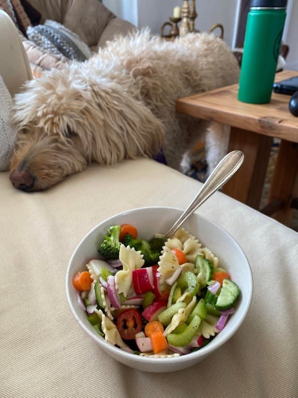 Pets Staring At Food (33 pics)