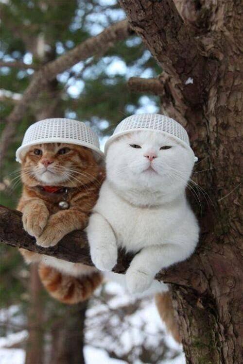 Acid Picdump. Part 1 (95 pics)