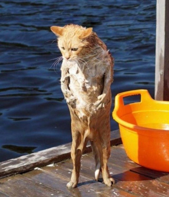 Acid Picdump. Part 1 (95 pics)