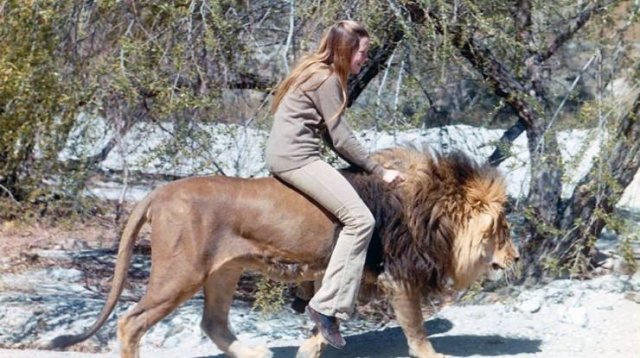 Acid Picdump. Part 1 (95 pics)