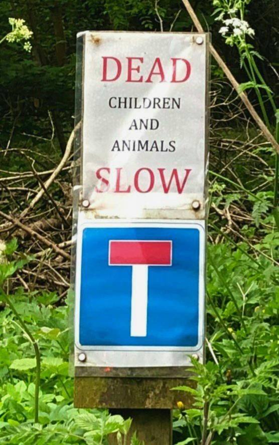 Acid Picdump. Part 1 (95 pics)