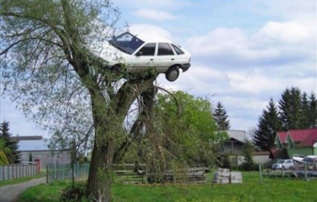Acid Picdump. Part 1 (95 pics)