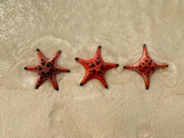 Awesome Photos (57 pics)