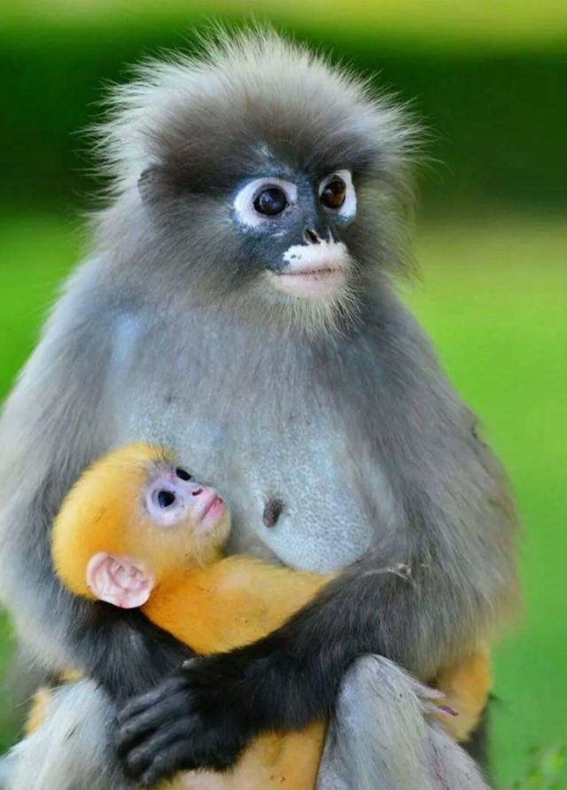 Awesome Photos (57 pics)