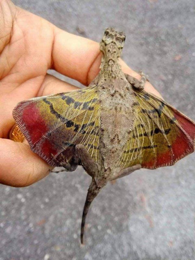 Awesome Photos (57 pics)