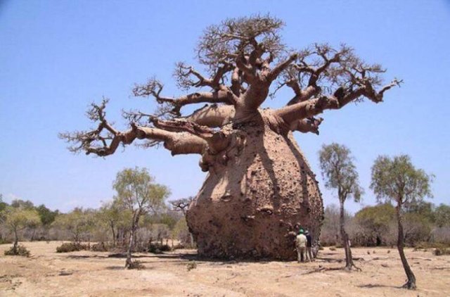 Awesome Photos (57 pics)