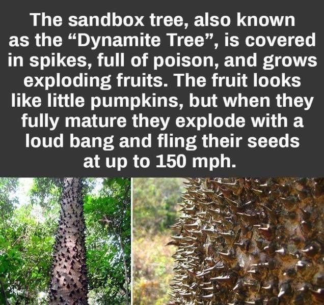 Awesome Photos (57 pics)