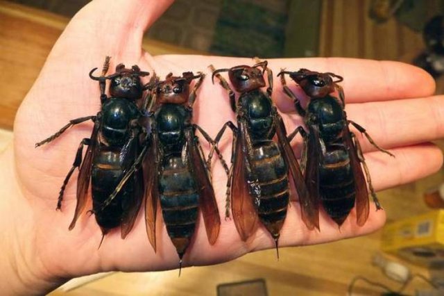 Awesome Photos (57 pics)