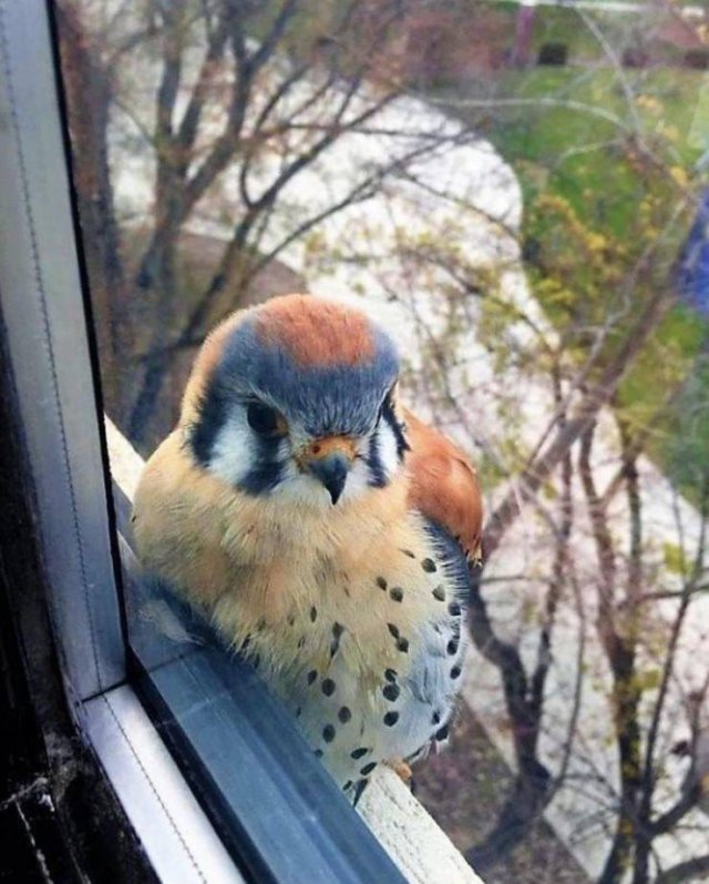 Awesome Photos (57 pics)