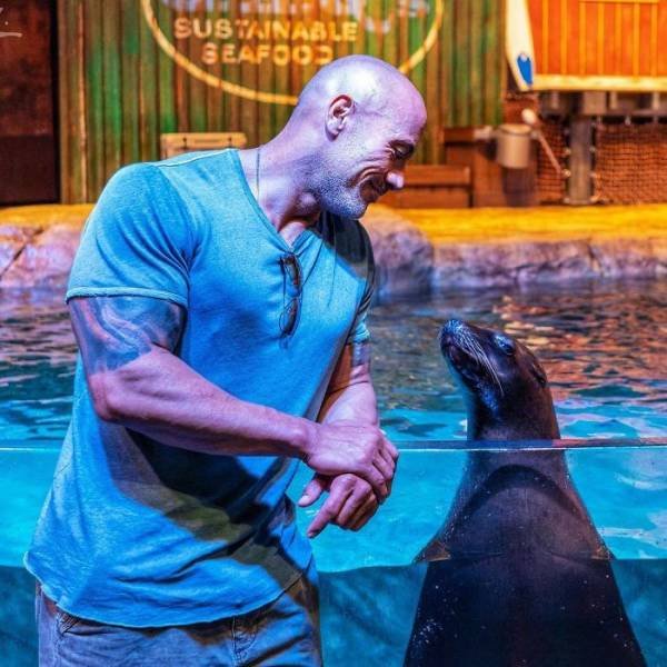 Dwayne Johnson Pictures (28 pics) Dwayne Johnson Pictures (28 pics)