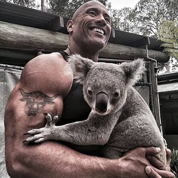 Dwayne Johnson Pictures (28 pics) Dwayne Johnson Pictures (28 pics)