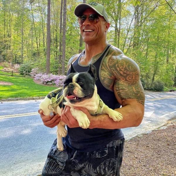 Dwayne Johnson Pictures (28 pics) Dwayne Johnson Pictures (28 pics)