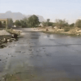 Acid Gifdump, May 5 (25 gifs)