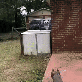 Acid Gifdump, May 5 (25 gifs)