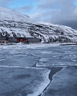 Acid Gifdump, May 5 (25 gifs)