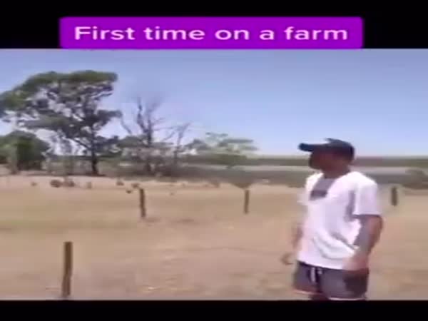 First Time At The Farm