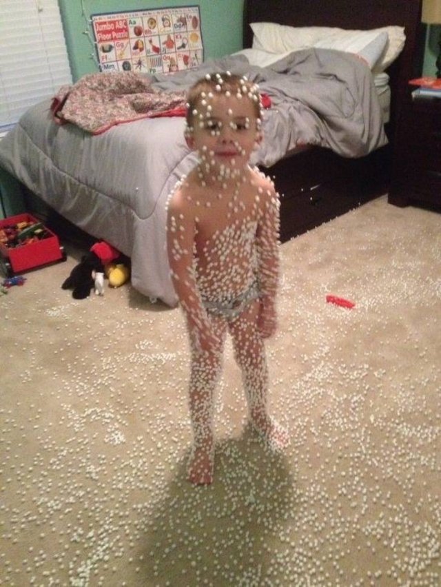 Living With Pets And Children (18 pics) Living With Pets And Children (18 pics)