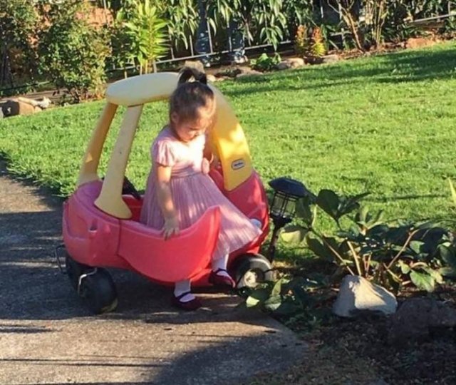 Living With Pets And Children (18 pics) Living With Pets And Children (18 pics)