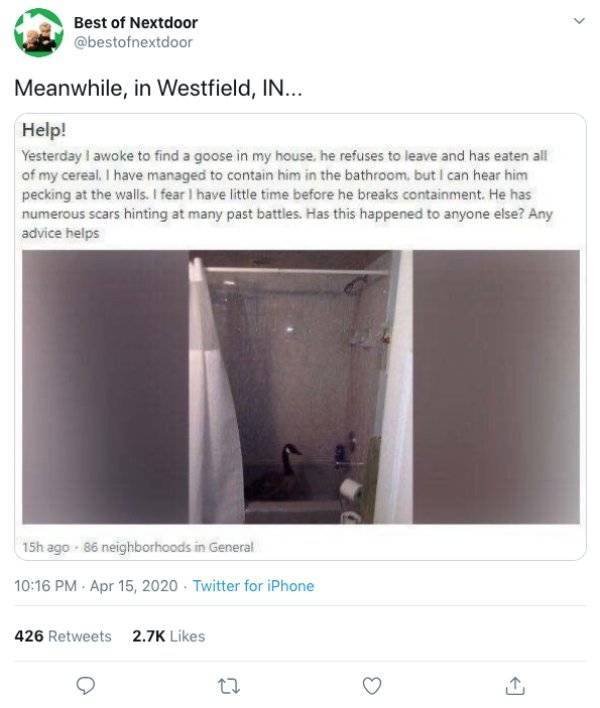#BestOfNextdoor Tweets (21 pics)