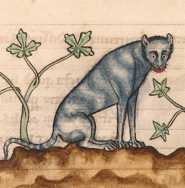 Medieval Cats (23 pics)